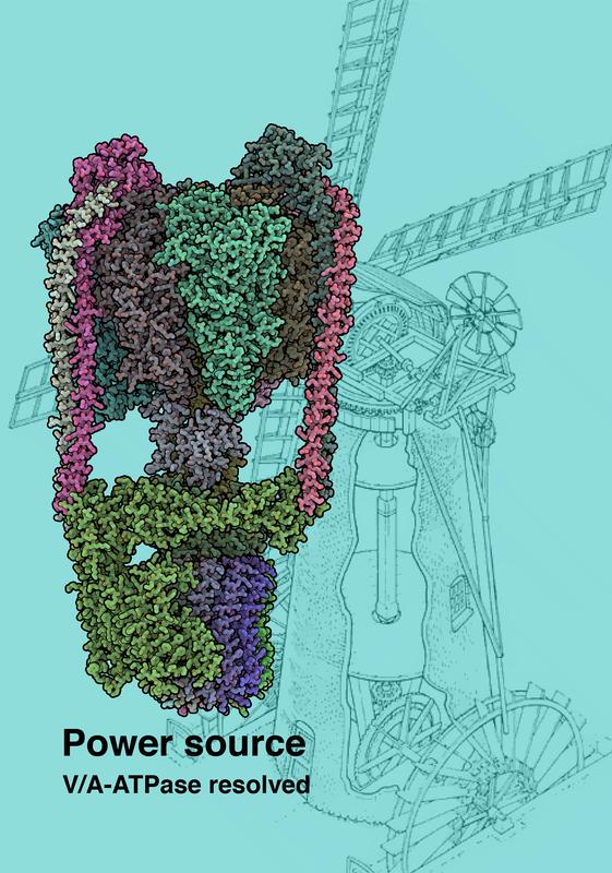 Kryo-EM Struktur der T. thermophilus V/A-type ATP Synthase. Der Hintergrund zeigt eine wind-betriebene Wasserpumpe.