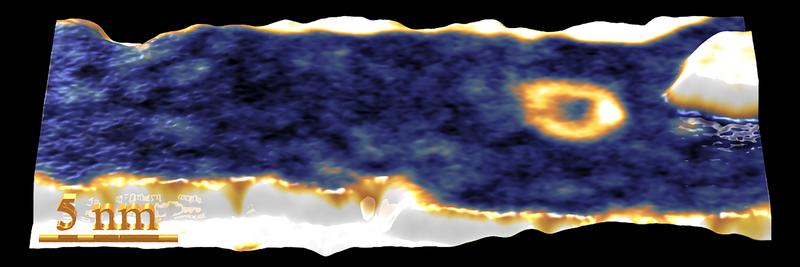 Abb. 2: Rastertunnelmikroskopie-Messung der Probenoberfläche, ein magnetisches Skyrmion ist hier als goldener Ring zu erkennen.