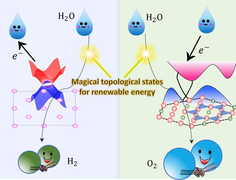 Topological non-trivial surface states can accept or donate electrons during the water electrolysis process. 