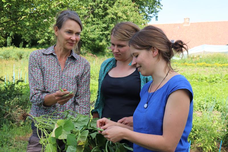 v.l.n.r. Alexandra Becker (VERN e.V.), Josephine Lauterbach (HNEE) und Annika Grabau (Humboldt-Universität zu Berlin) im Garten des VERN e.V. in Greiffenberg (Brandenburg)