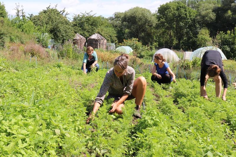 Feldarbeit im Garten des VERN e.V.