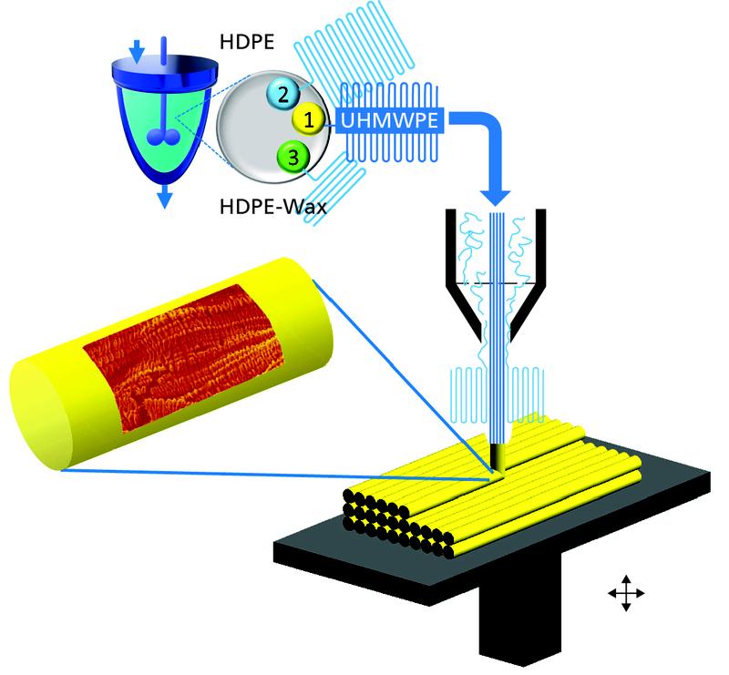 Using a catalyst, different unbranched PE chains are produced (top) and the fiber structures produced in the 3D pressure nozzle are deposited in the desired orientation in the printed component. 