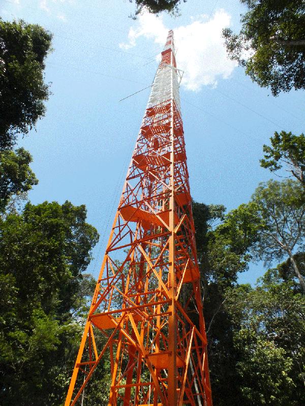 Der Forschungsturm ATTO steht im noch weitgehend unberührten zentralen Amazonasgebiet. 