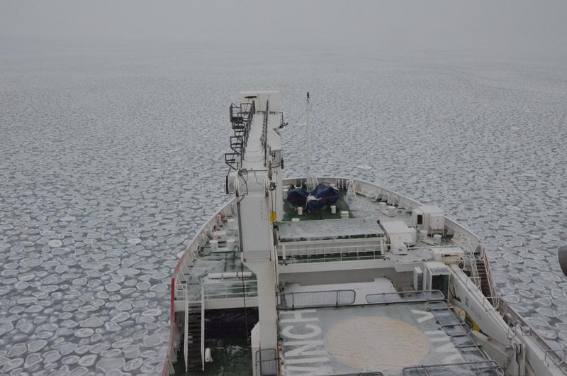 Die SA Agulhas II bahnt sich ihren Weg durch typisches Pfannkucheneis. 