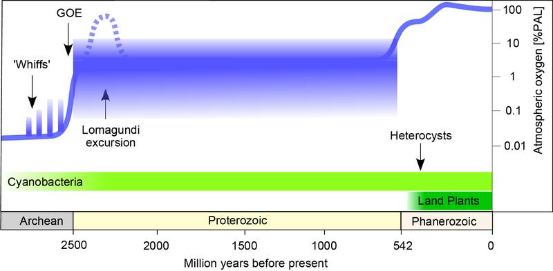 Über 2 Milliarden Jahre lang, bis Pflanzen das Festland besiedelten, blieb der Sauerstoffgehalt der Atmosphäre bei 2 % stabil. Ein Verantwortlich dafür kann das Enzym Nitrogenase gewesen sein.