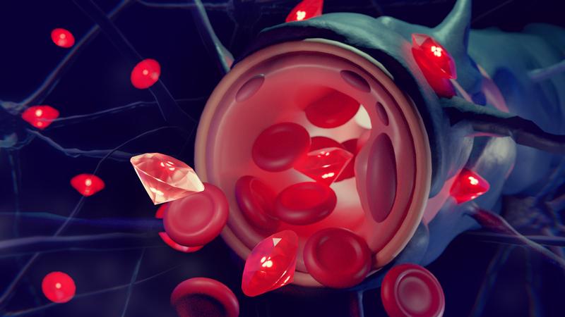 Mit Albumin beschichtete Nanodiamanten können die Blut-Hirn-Schranke überwinden und gezielt für Diagnose- und Therapiezwecke im Gehirn verwendet werden