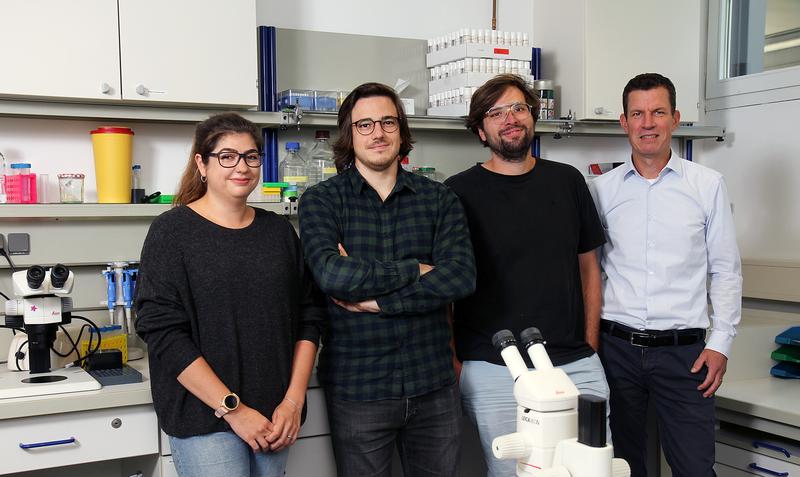 The researchers (left to right): Vanessa Bräuler, Benjamin Escribano, Dominique Siegenthaler and Prof. Dr. Jan Pielage