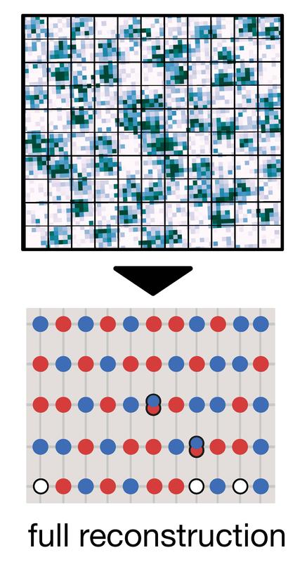 Eines von vielen aufgenommenen Fotos eines Quantenvielteilchensystems (links), auf dem jedes Teilchen einzeln sichtbar ist, und Rekonstruktion des quantenmechanischen Zustands.