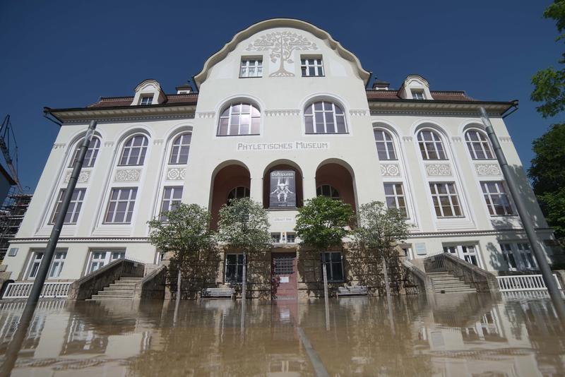 Das Phyletische Museum, von Ernst Haeckel begründet, steht mit im Fokus der Jahrestagung der Deutschen Zoologischen Gesellschaft an der Universität Jena. 