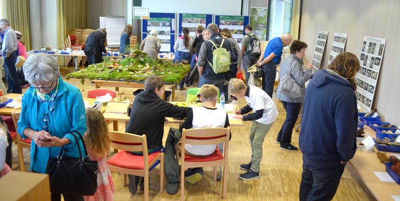 Pilzausstellung und -beratung an der  Bayerischen Landesanstalt für Wald und Forstwirtschaft (LWF) 