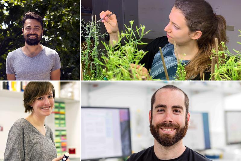 The awarded scientists (counter clockwise starting top left): Dr. Constantin Mario Zohner, Dr. Eva-Sophie Wallner, Dr. Moisés Expósito Alonso and Dr. Jessica Lee Erickson.  