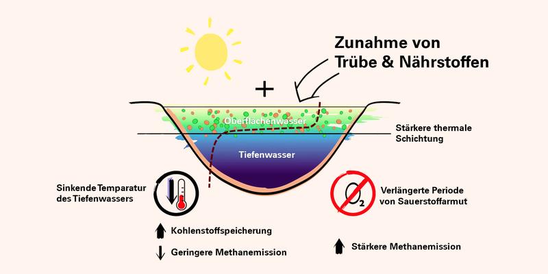 Auswirkungen des Klimawandels auf die Wassertemperatur und -transparenz, die Dichteschichtung und den Sauerstoffgehalt in Seen.