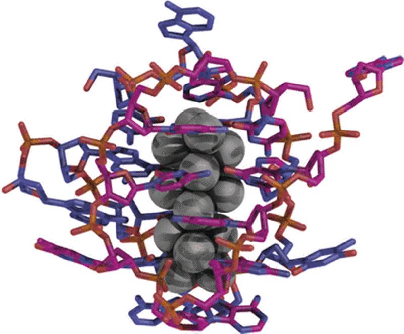 Der Nanocluster aus 16 Silber-Atomen wird durch "Einwickeln" in DNA-Stränge stabilisiert.
