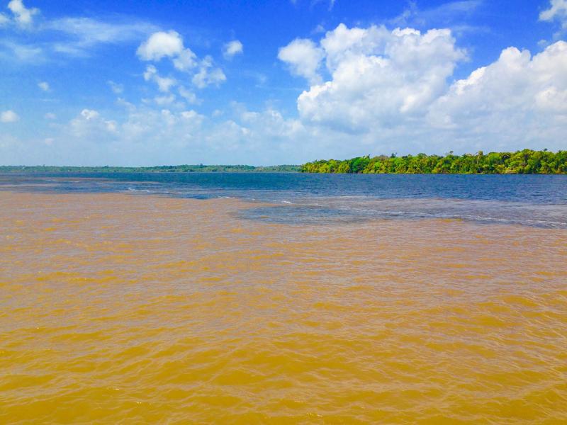 Der Amazonas und seine Nebenflüsse schwemmen große Mengen gelöstes organisches Material aus dem Regenwald Richtung Atlantik, hier am Zusammenfluss des Xingu mit dem Amazonas.