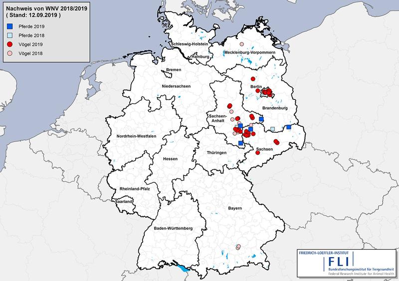 Amtlich festgestellte Fälle von West-Nil-Virus-Infektionen, Stand 12.09.2019