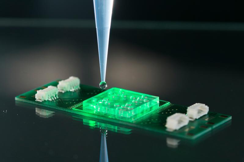 A light-based diagnostic procedure: This chip for the rapid diagnosis of infectious diseases was researched by a team from Leibniz IPHT and the University Hospital Jena.