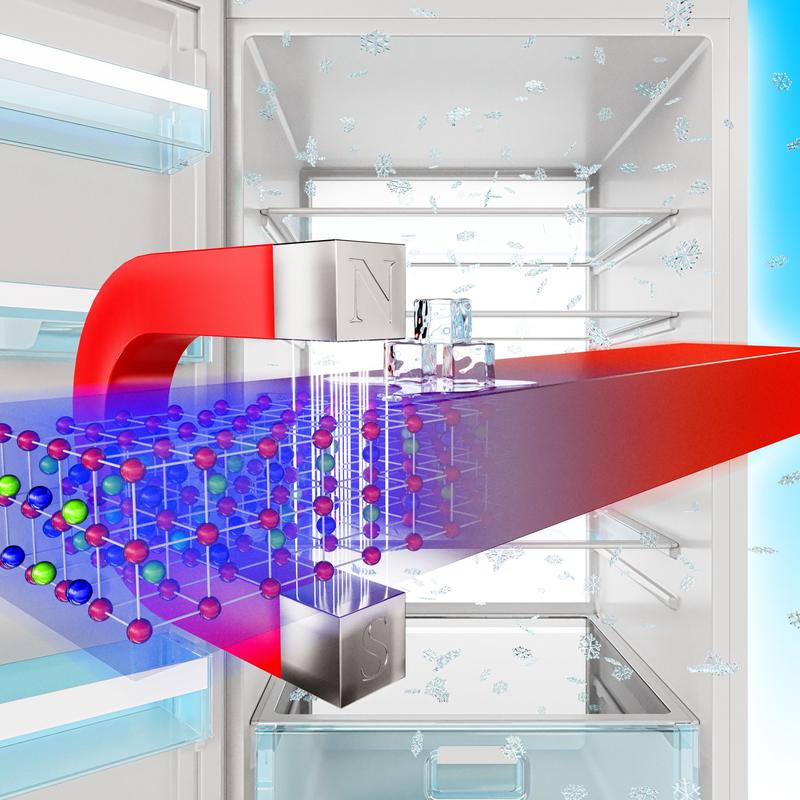 Der magnetokalorische Effekt: In ein Magnetfeld gebracht, ändert sich die Temperatur bestimmter Materialien deutlich. Diesen Effekt wollen Forscher nutzen, um umweltfreundlichere Kühlgeräte zu bauen.