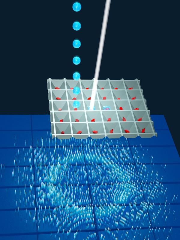 The 'Liquid Application Method for time-resolved Analyses' (LAMA) opens the door for all diffusion amenable protein crystal systems