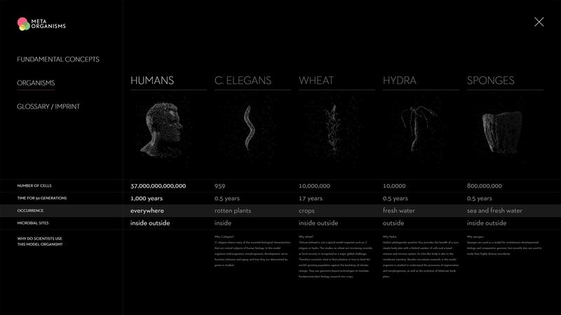 The Kiel based researchers compared the microbiome data of many different model organisms - from simple sponges to vertebrates including humans.