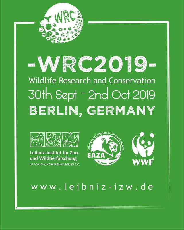 WRC 2019 Poster