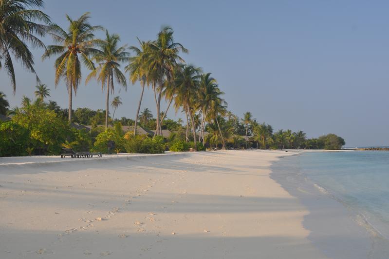 Weiße Sandstrände, wie hier auf den Malediven, haben mit natürlichen Stränden wenig zu tun: Maßnahmen zur Steigerung der touristischen Attraktivität zerstören oft den Lebensraum vieler Organismen.