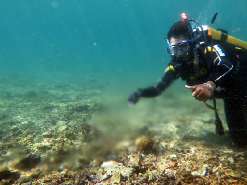 Grundwasserquelle in einem Riff vor Lombok 