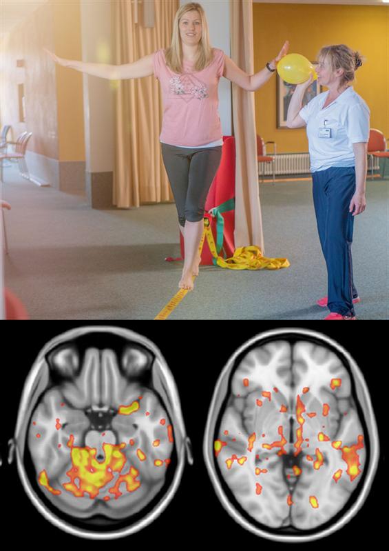 Das Training auf einer Slackline steigert die Konnektivität in kortikalen und subkortikalen Hirnregionen und Netzwerken.