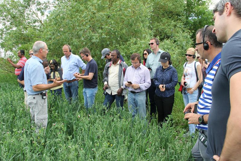 Feldbegehung mit Konferenzteilnehmern auf einer Farm in Kanada. Der Farmer erläutert seine Mischkultur Weizen/Erbsen. 
