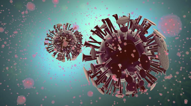 3-D-Darstellung der Abwehr eines Virusangriffs durch Immunzellen. 