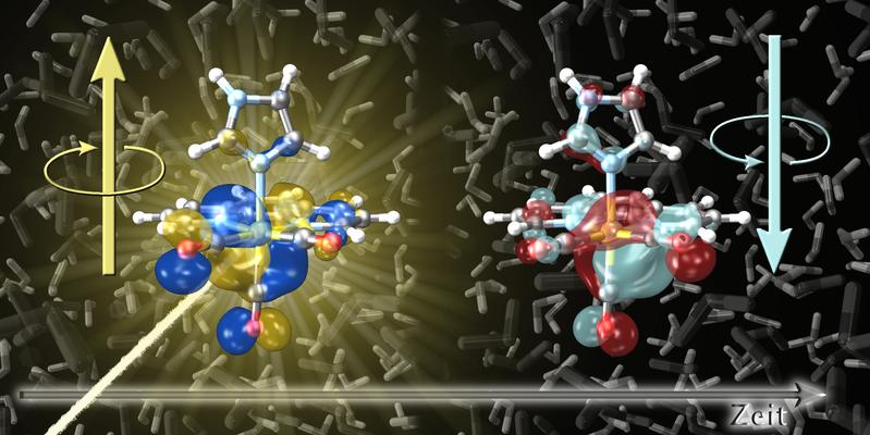 Extrem schnelle Spin-Umklapp-Prozesse, die durch Lichtabsorption von Metallverbindungen ausgelöst werden, können mit dem Computer simuliert werden. 