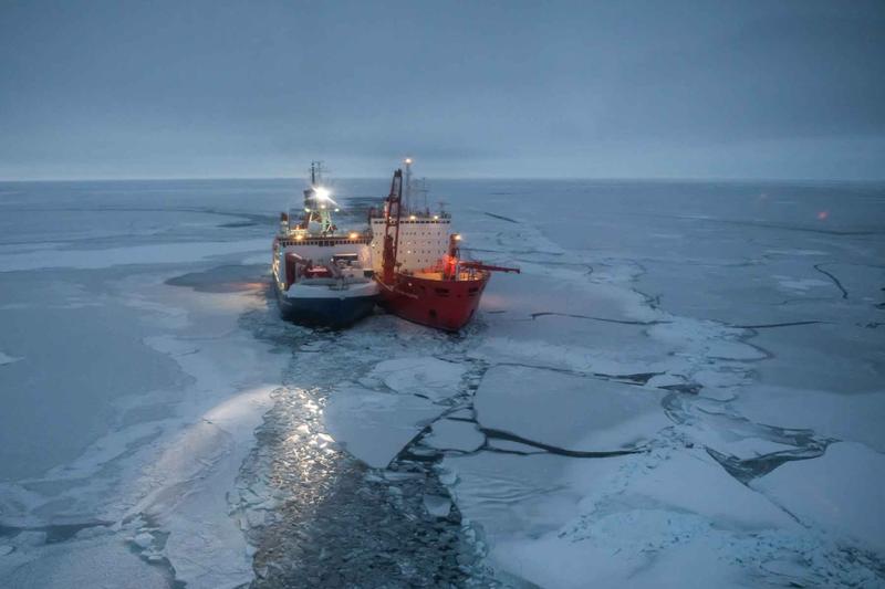 FS Polarstern und Akademik Fedorov