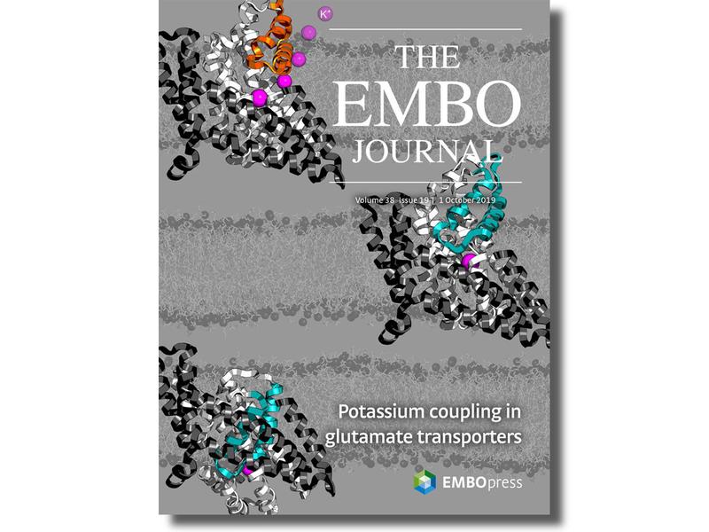 Cover "The EMBO journal"