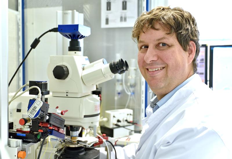 Der Neuroimmunologe Prof. Dr. Christian Geis vom Universitätsklinikum Jena ist Sprecher der neuen DFG-Forschungsgruppe SYNABS, die Autoimmun-Gehirnentzündungen untersucht.