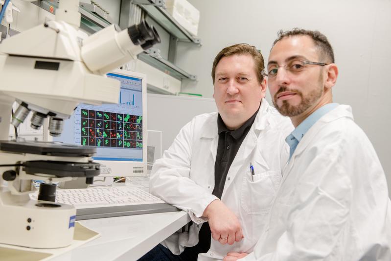  Harald Platta (links) und Fahid Boutouja erforschen die Transportprozesse, die in Zellen ablaufen. 