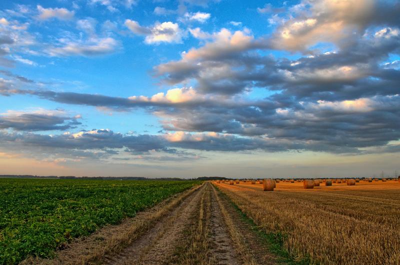 Was bewegt die Landwirtschaft von morgen?  