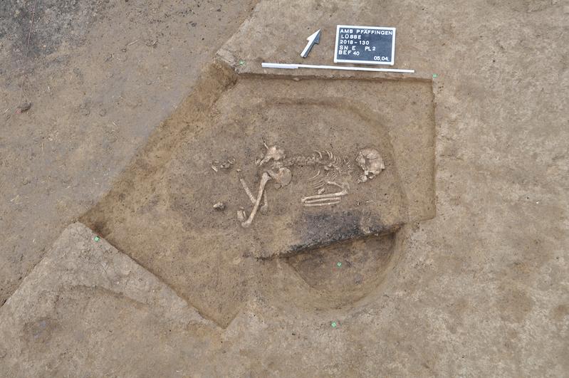 Übersichtsaufnahme Hockerbestattung einer 30- bis 40-jährigen Frau aus der frühen Jungsteinzeit, die in linksseitiger Hockerlage beigesetzt wurde