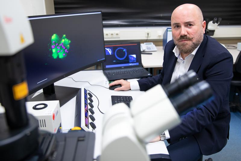 Professor Dr. Georgios Tsiavaliaris, wie er mit Hilfe des 3D-Fluorenszenzmikroskops einen Blick in die menschliche Eizelle wirft. 