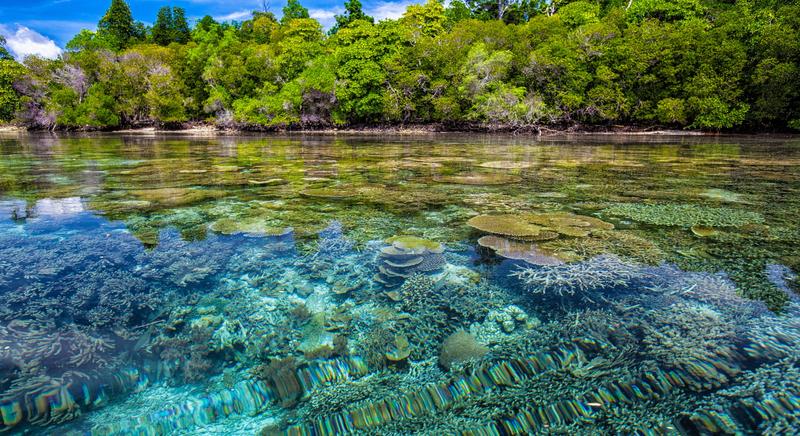 Tropical marine regions are exhibiting biodiversity change at the extremes of richness gains, losses and turnover more often than other regions.