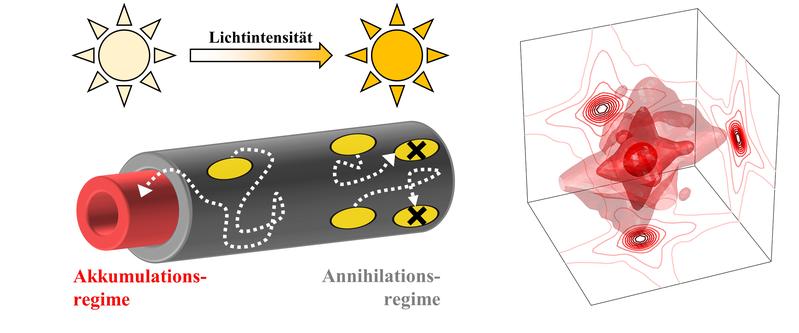 Energy transport in biomimetic nanotubes (left) and a three-dimensional spectrum (right).