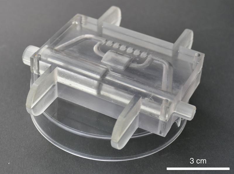 Bioinspiriertes Einschubkasten-Modul zur Sensoraufnahme für Waschmaschinen. Foto: Plant Biomechanics Group