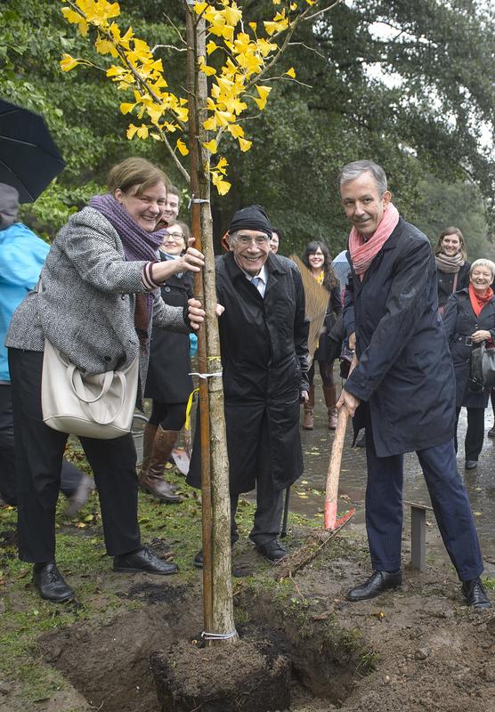 v.l.n.r. Die DFH-Generalsekretärin, der DFH-Gründungspräsident und der aktuelle DFH-Präsident pflanzen einen Gingko im Deutsch-Französischen Garten Saarbrücken