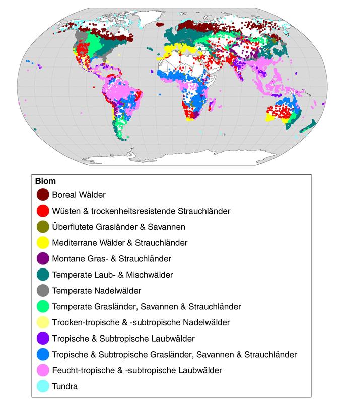 Übersicht über die in der neuen Studie untersuchten terrestrischen Schutzgebiete. Veröffentl. in Nature Communications (2019), DOI: 10.1038/s41467-019-12603-w