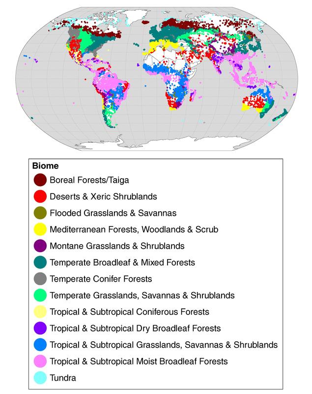 Overview of the terrestrial protected areas investigated in the new study. Publ. in Nature Communications (2019), DOI: 10.1038/s41467-019-12603-w 