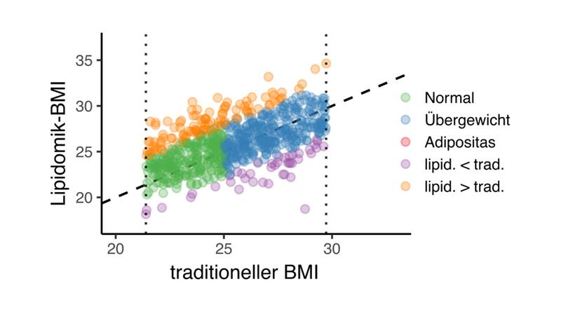 Traditionell gemessene BMI-Werte und aus Lipidomik-Daten berechnete BMI-Werte im Vergleich.