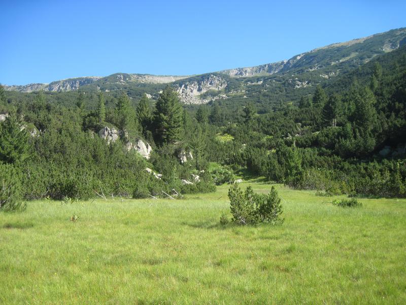 Studiengebiet im Rila-Gebirge in Südwest-Bulgarien – heute gibt es hier noch viele Fichten und Weißtannen.