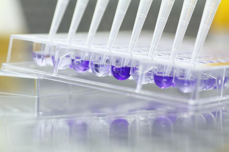 Caption: Close-up of a so-called diagnostic Biolog plate, with which the metabolic activity of bacteria is measured. 