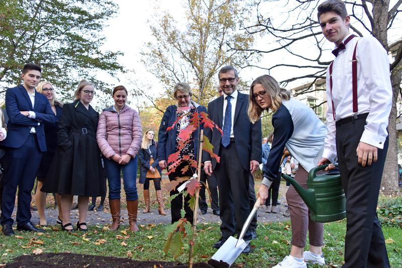 Universitätspräsident Prof. Dr. Walter Rosenthal (Mitte) pflanzte im Botanischen Garten gemeinsam mit Studierenden des ersten Semesters eine Roteiche, die an die Matrikel 2019/20 erinnern wird.