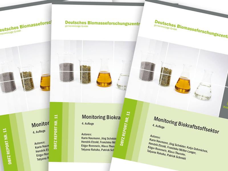 DBFZ Report 11 (4. Auflage) zum Monitoring Biokraftstoffsektor