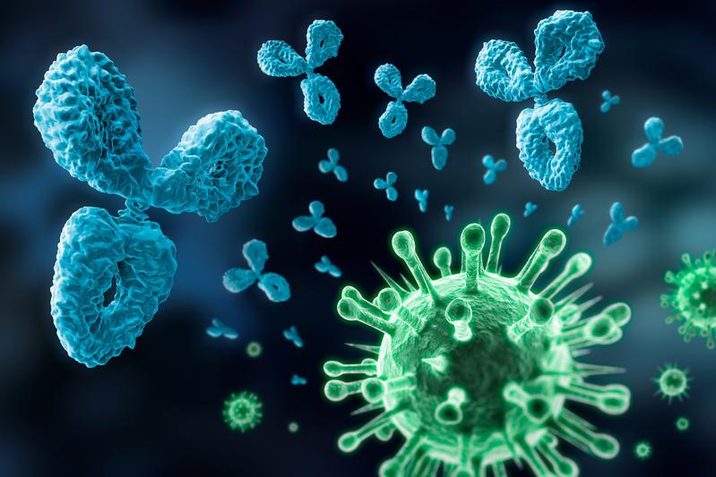 Illustration of antibodies fending off viruses