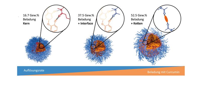 Bei steigender Beladung mit Curcumin (gelb) nimmt die Auflösbarkeit der Wirkstoff-Container aus Polymer-Mizellen (blau) ab. 